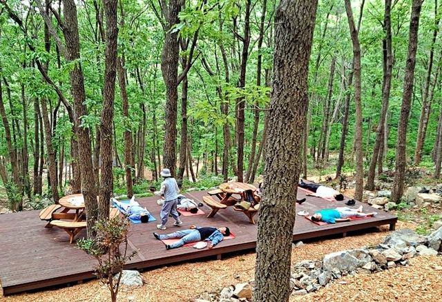 자연 휴양림 전경