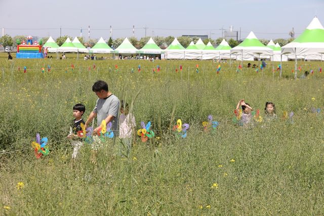 군산꽁당보리축제