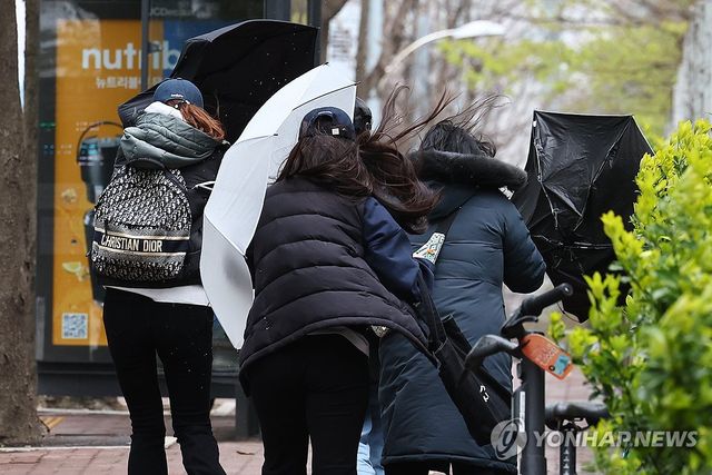 강풍에 자꾸 뒤집히는 우산