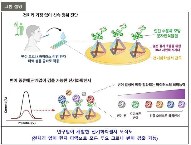 전기화학센서 모식도