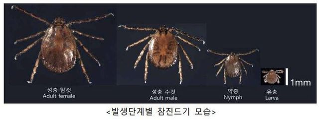 [질병관리청 제공. 재판매 및 DB 금지]