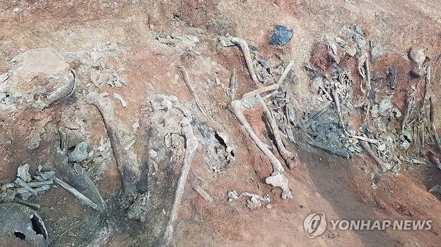 75년 만에 다시 빛 본 당진 민간인 학살 희생자 유해들