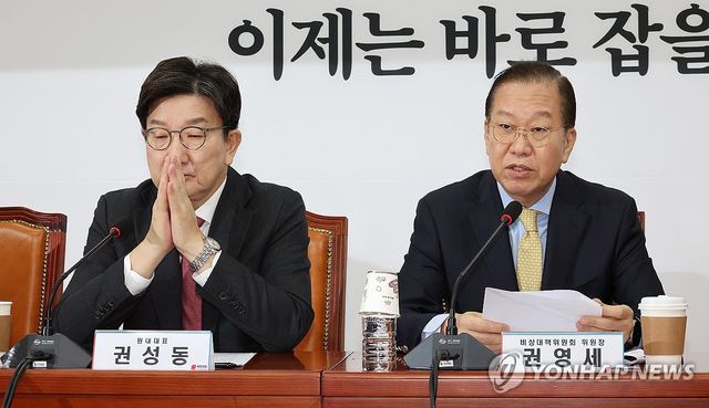 비대위원 회의에서 발언하는 권영세 비대위원장