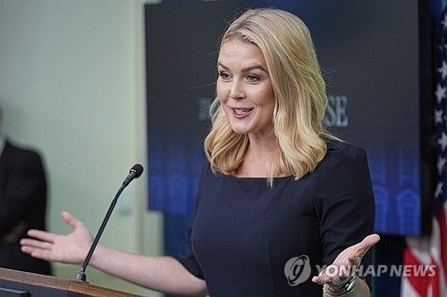백악관 대변인 브리핑