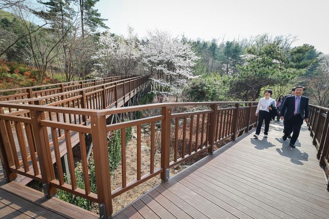우면산 무장애숲길 2단계 구간 개방