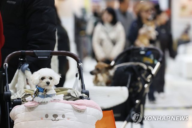 반려동물과 함께 쇼핑