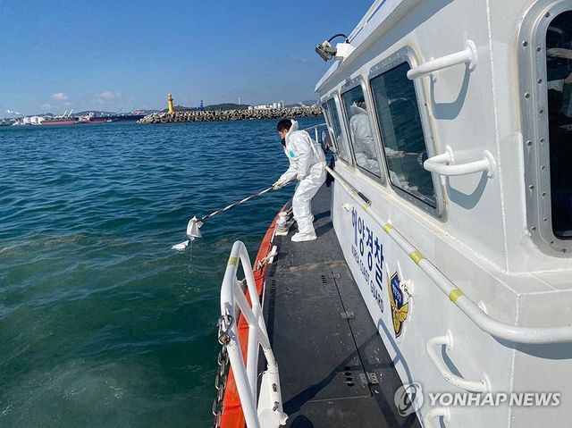 울산 앞바다 기름 방제작업