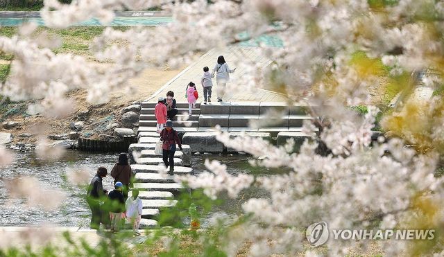 생태체험 학습 중인 어린이집 원아들