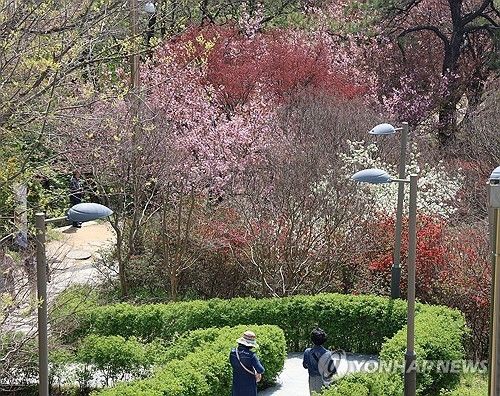 전주 완산공원 꽃동산에 찾아온 봄