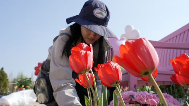 세종수목원서 봄꽃 심기 한창