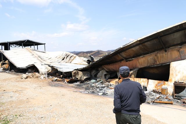 불에 타 전소된 사과 저온 저장창고