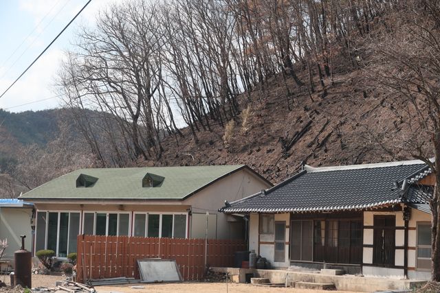 산사태 우려되는 야산 밑 주택