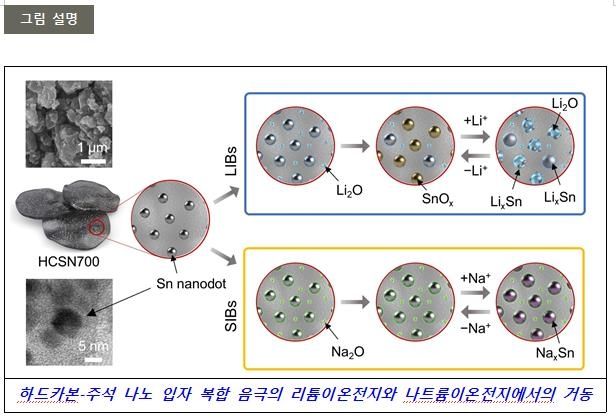 하드카본-주석 음극 소재