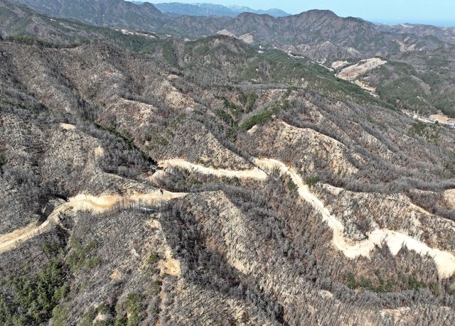 경북 울진 산림생태복원지