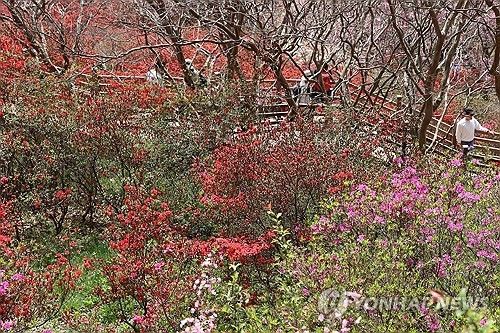 전주 꽃동산의 봄 정취