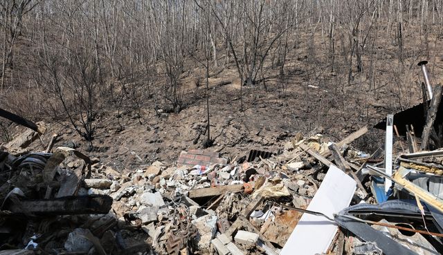 잿더미가 된 주택과 산림