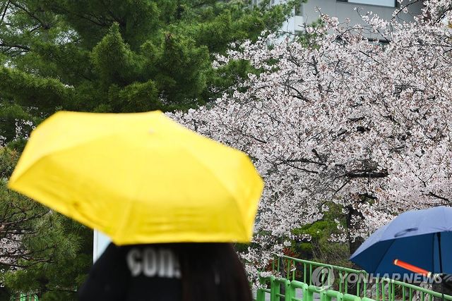 어쨌든 봄은 봄