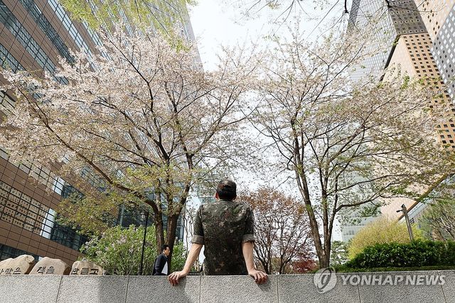 ‘말랑 말랑, 봄’