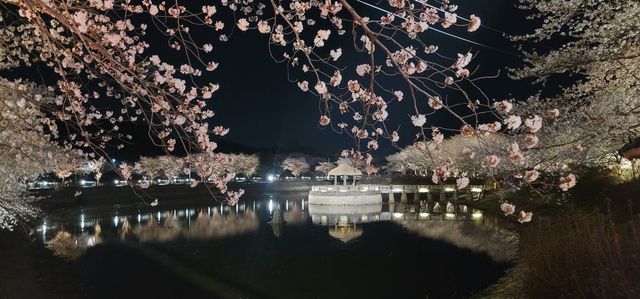 면천읍성 골정지 야경