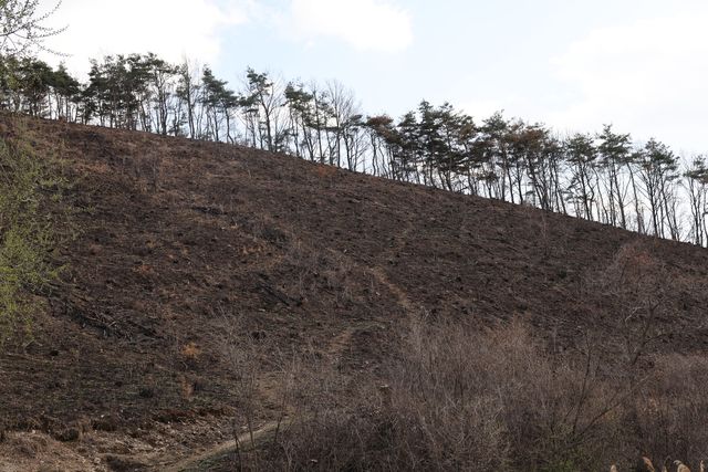 경북산불이 휩쓴 의성군 점곡면 구암리 야산