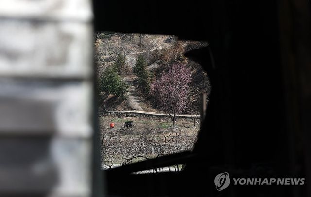 화마가 지나간 자리