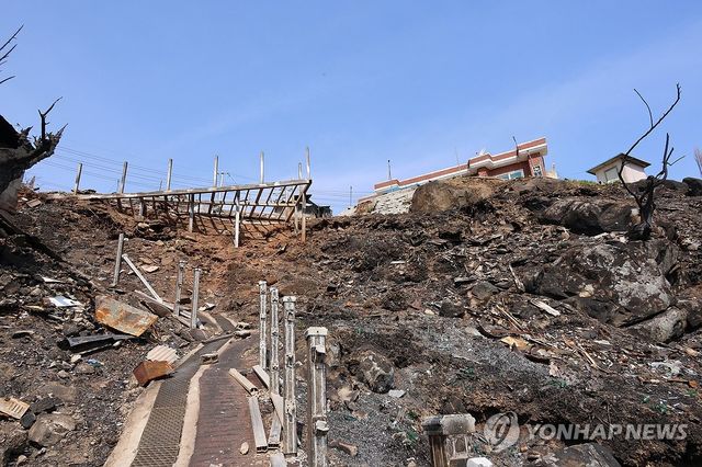 산불이 지나간 자리