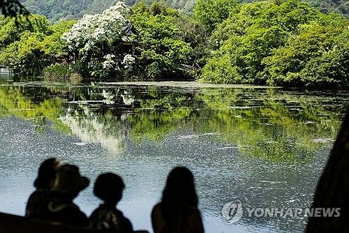 [연합뉴스 자료사진]