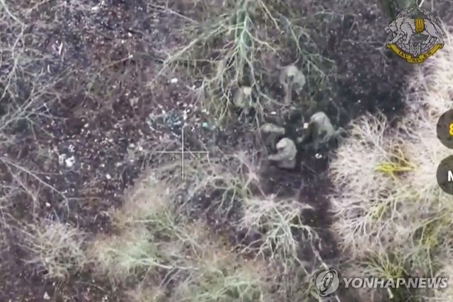 쿠르스크에서 우크라이나군에 포로로 잡히는 북한군 병사들