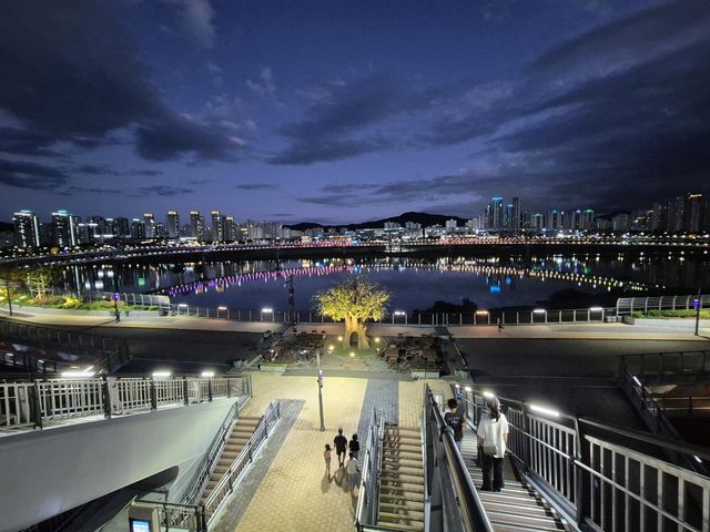 세종시 금강 야경