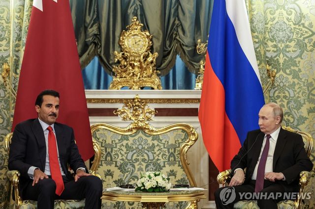 크렘린궁에서 회담하는 블라디미르 푸틴 러시아 대통령과 셰이크 타밈 빈 하마드 알사니 카타르 국왕