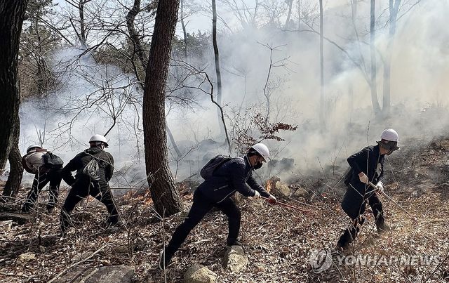 울주 산불 방화선 구축하는 공무원들