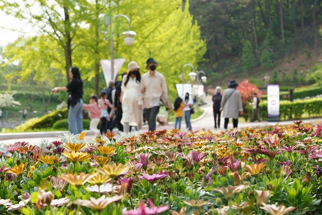 청남대에 만개한 야생화