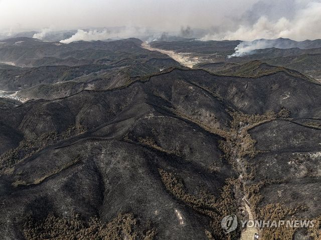 경북산불로 폐허로 변한 의성군 산림
