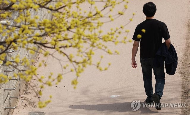 봄, 산수유 그리고 반팔