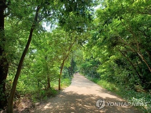 여의도 샛강생태공원 산책로 