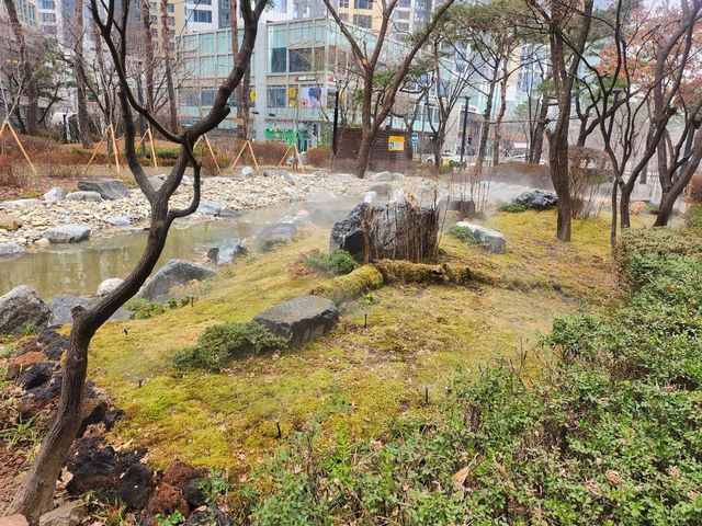 기와터근린공원 계류 이끼원
