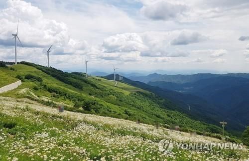 청옥산 육백마지기
