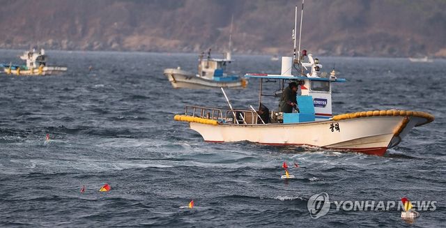 동해 최북단 저도어장 개장