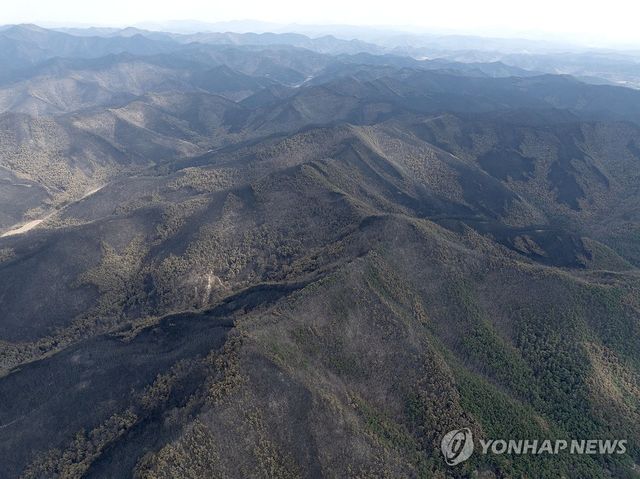산불이 할퀸 자국