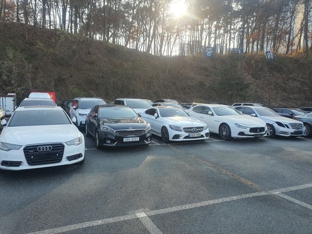 압수된 외제차들