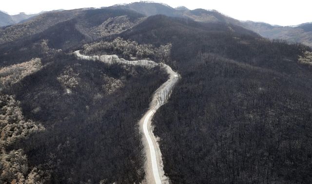 영남지역 산불 피해지 모습