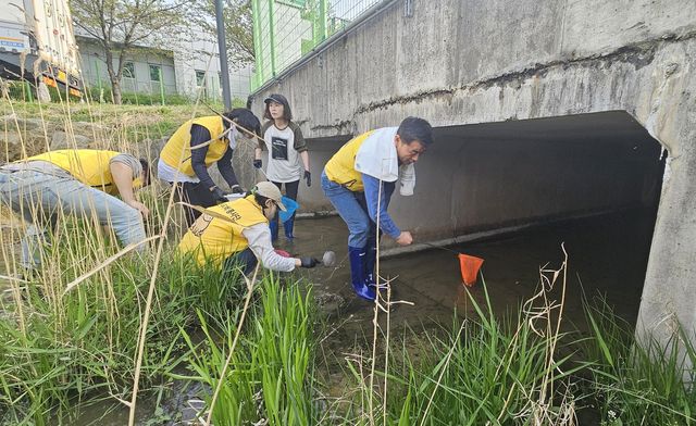 두꺼비 올챙이 구조 나선 김영길 울산중구청장과 봉사단체