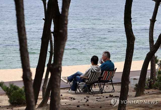 그늘이 좋은 봄날