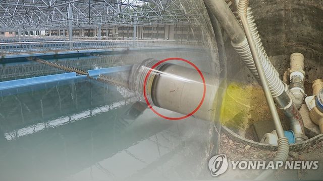 [연합뉴스TV 제공]