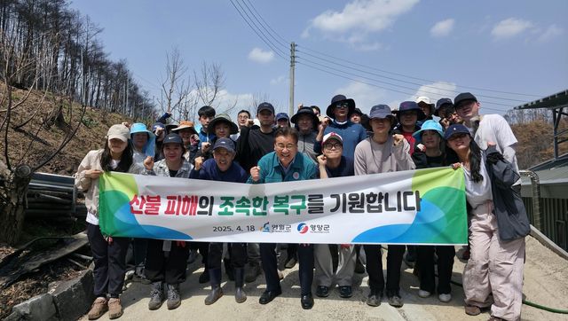 영월군 공무원들 산불 피해농가 일손돕기