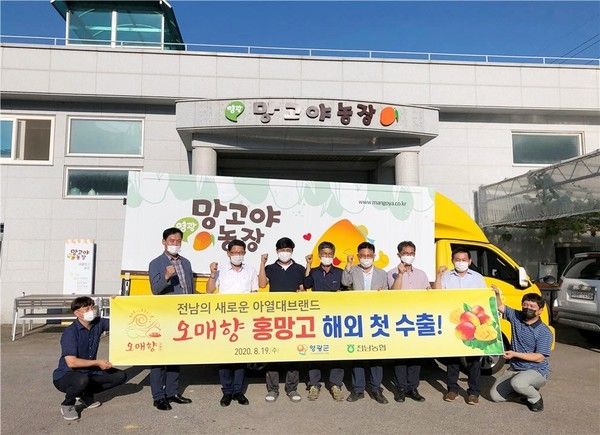 수출길 오르는 망고야 농장 애플망고