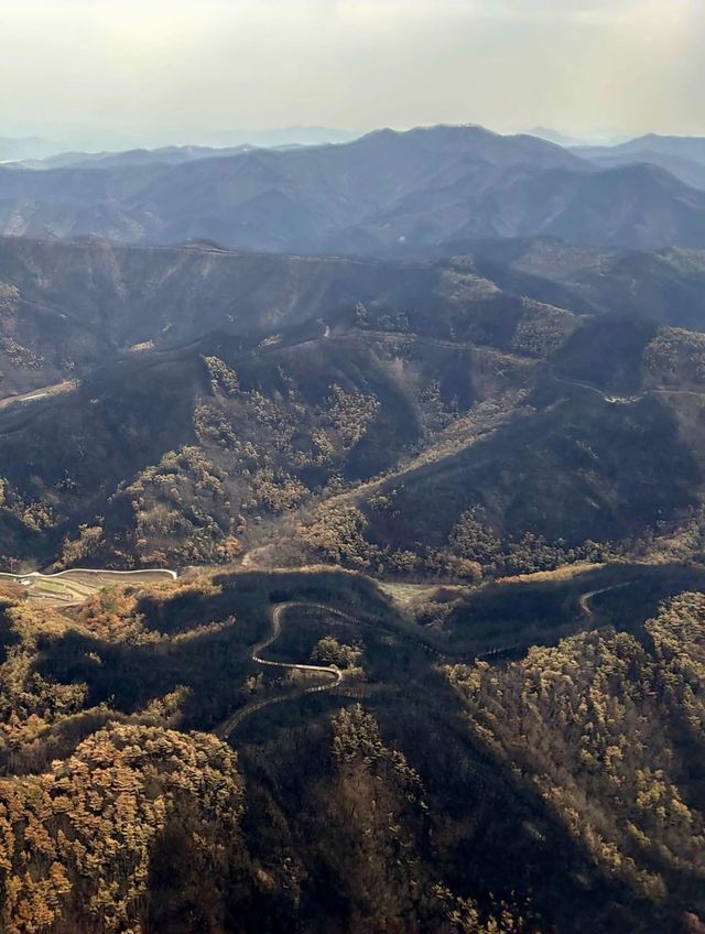 영남지역 산불 피해지 모습