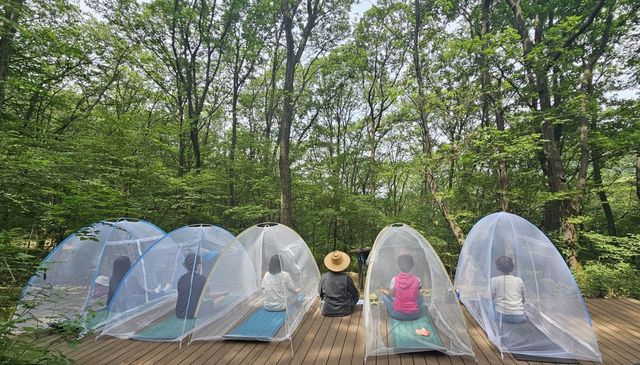 2024년 산성공원에서 진행된 '산림치유' 프로그램