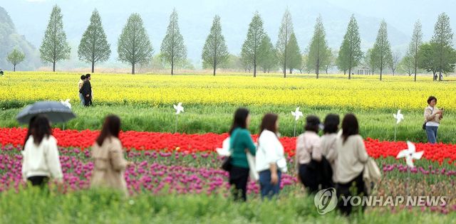 흐려도 형형색색 화려한 봄