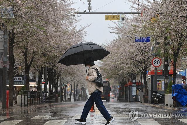 봄에 내리는 비